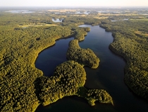 Beautiful Lithuanian forest and some lakes 