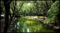 Beautiful park in Hangzhou China 
