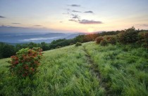 Beautiful sunrise on Gregorys Bald in the Great Smoky Mountains 