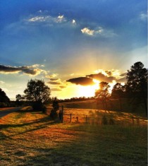 Beautiful sunset on the fields of Milledgeville Georgia USA 