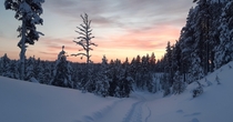 Beautiful sunset while snowshoeing Enonteki Finland 