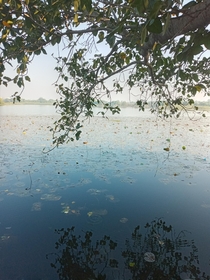 Beautiful waterbody of Central India Nagpur India 