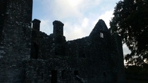 Bective Abbey Ireland built  