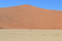Big Daddy Sand dune one of the highest in the world with human comparison OC 