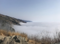 Big Sur fog x OC
