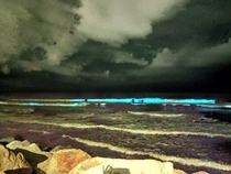 Bioluminescent waves -  Oceanside California