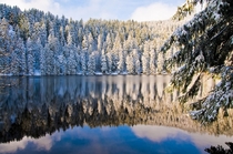 Black Forest Reflection in Germany 