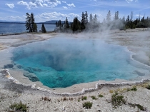 Black Pool hot spring West Thumb Geyser Basin Yellowstone National Park Wyoming 