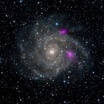 Blazing black holes spotted in spiral beauty galaxy IC  The black holes magenta are much brighter than typical stellar-mass black holes but they cannot be supermassive black holes or they would have sunk to the galaxys center 
