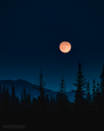 Blood moon rising over a foggy forest in Nordegg Alberta 