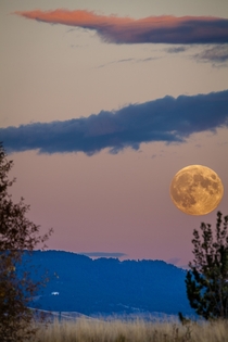 Blood Moon rising over Montana  x