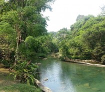 Blue Creek in Southern Belize Sorry for quality taken on cellphone 