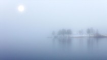 Blue fog - x