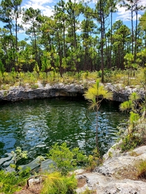 Blue Hole in a forest - South Abaco The Bahamas 