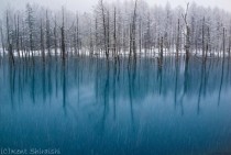 Blue Pond Hokkaido The Snowstorm in May  Kent Shiraishi