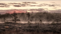 Bog in the October Mist Mukri Estonia  by Amadvr