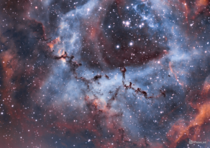 Bok Globules in the Rosette Nebula 