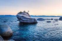 Bonsai Rock - Lake Tahoe Nevada x