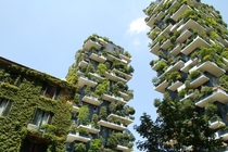Bosco Verticale Vertical Forests apartment buildings in Milan Italy Photo credit to Chris Barbalis 