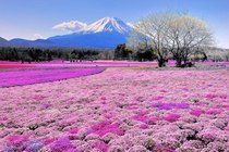 Breathtaking view of Mount Fuji Japan 