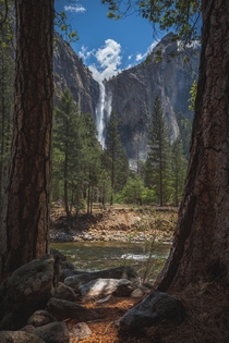 Bridalveil Falls between two sequoia trees Yosemite National Park Mariposa California 