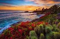 Bright flowers line Treasure Island Beach Laguna Beach CA  by Tom Bricker 