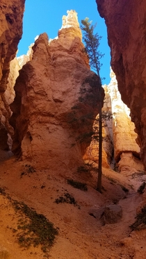 Bryce Canyon NP Utah x OC