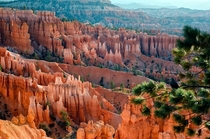 Bryce Canyon UT  by Elke Peterson