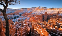 Bryce Canyon Utah  by Kevin Benedict
