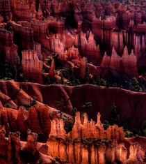Bryce Canyon  Utah   x  OC