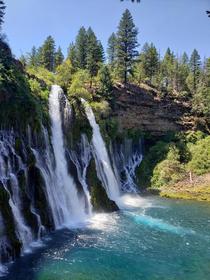 Burney Falls Shasta County California  x