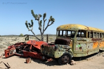 Bus and car wreck in the Mojave 