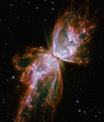 Butterfly emerges from stellar demise in planetary nebula NGC  