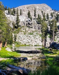 Calm water in Heather Lake Sequoia National Park CA USA  x