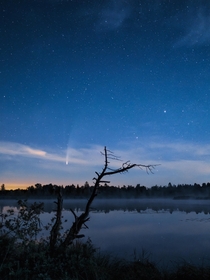 Calming picture of comet NEOWISE over a misty bog lake in Germany shot in July 