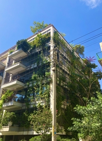 Can you please make more of these Imagine a whole neighborhood covered in plants like that  Tel Aviv Israel