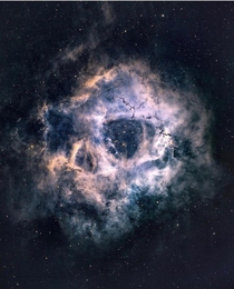 Can you see the cosmic Thats the rosette nebula