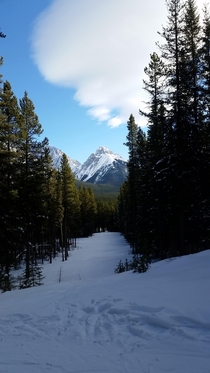 Canada Alberta One hour from Calgary The perfect backyard to play in 