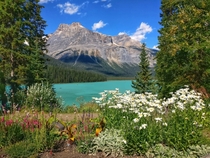 Canada is abundant witb beautiful turquoise lakes like the one pictured here Emerald Lake x 