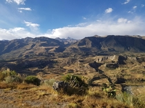 Canyon Colca during Peruvian winter 