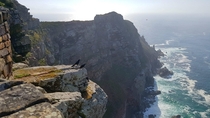 Cape Point South Africa 