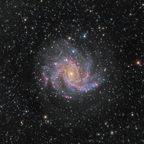Captured the Fireworks galaxy a spectacular shot Imaged using the Meade LX-ACF  f StarLock a k telescope I pulled second mortgage to buy
