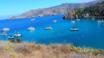 Catalina Island California 