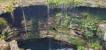 Cenote sinkhole near Chechen Itza mexico x