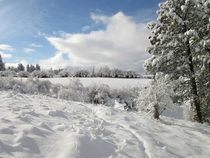 Central Idaho in winter  x
