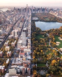 Central Park and Manhattan New York 