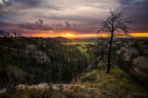 Chadron State Park in Nebraska after a small storm 