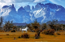 Chasing Unicorn - Torres del Paine National Park Patagonia Chile  by Vadim Balakin 