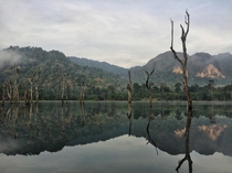 Cheow Lan Lake Khao Sok National Park Thailand  x  