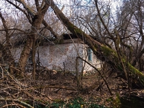 Chernobyl Exclusion Zone Ukraine